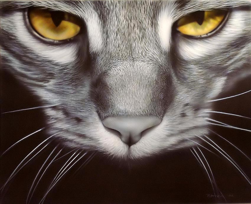 Katze03