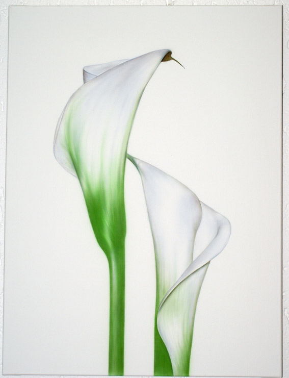 Calla