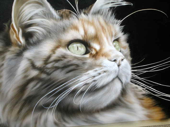 Mieze